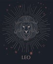 lion head, zodiac sign - leo with stars Royalty Free Stock Photo